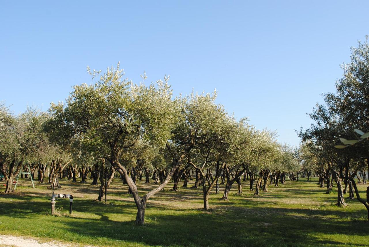 Agriturismo Melograno D'Oro 바르돌리노 외부 사진