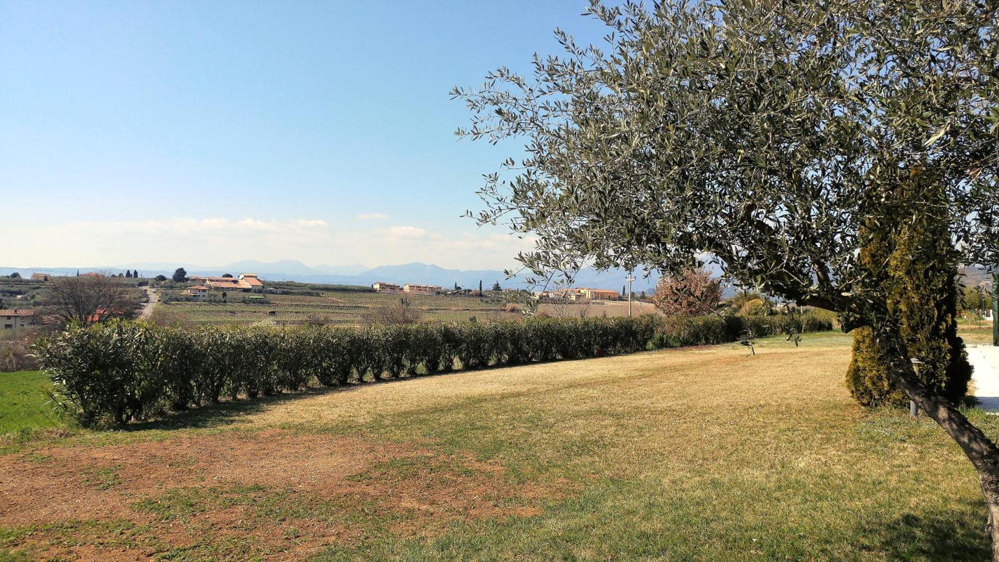 Agriturismo Melograno D'Oro 바르돌리노 외부 사진