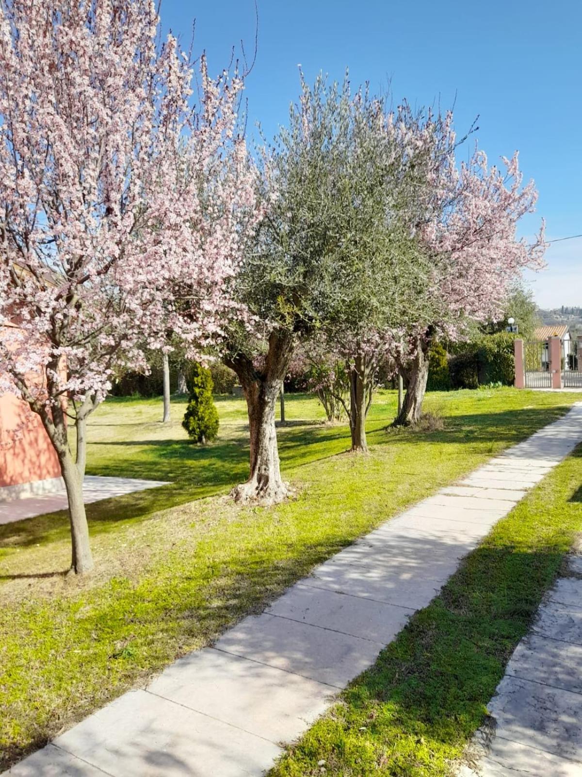 Agriturismo Melograno D'Oro 바르돌리노 외부 사진